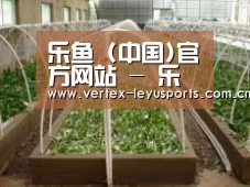 环境展示五