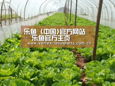 种植基地五