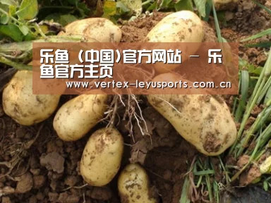 种植基地六