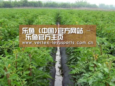 种植基地三