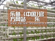环境展示六