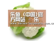产品名称九