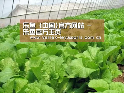 种植基地一