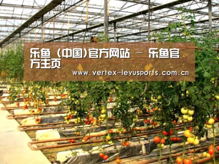 种植基地二