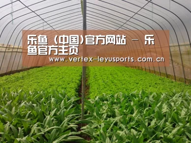 种植基地四