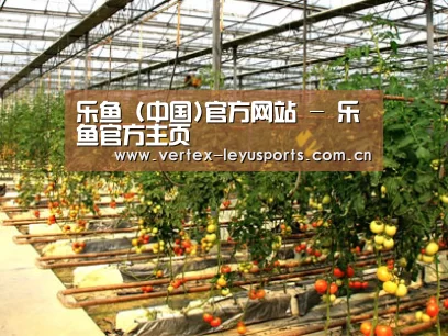 种植基地二(图1)