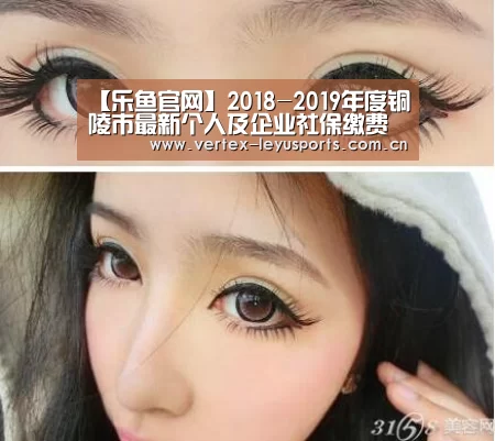 乐鱼体育app