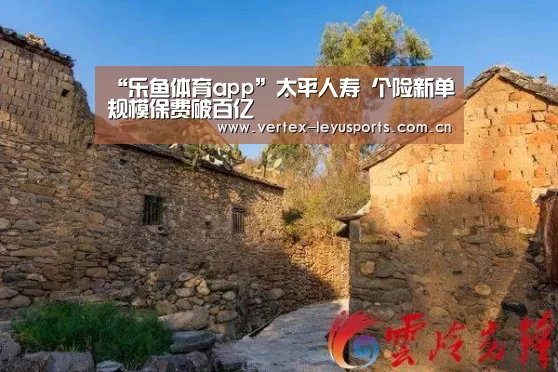 乐鱼体育app