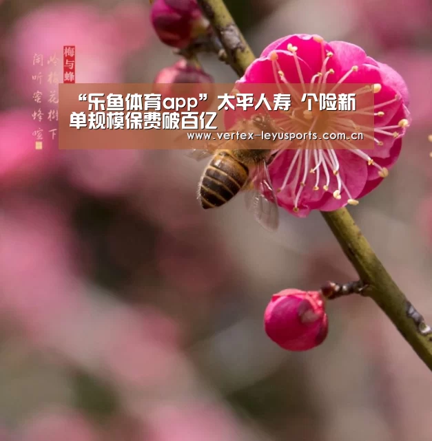 乐鱼体育app