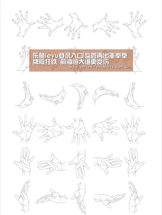 乐鱼leyu登录入口