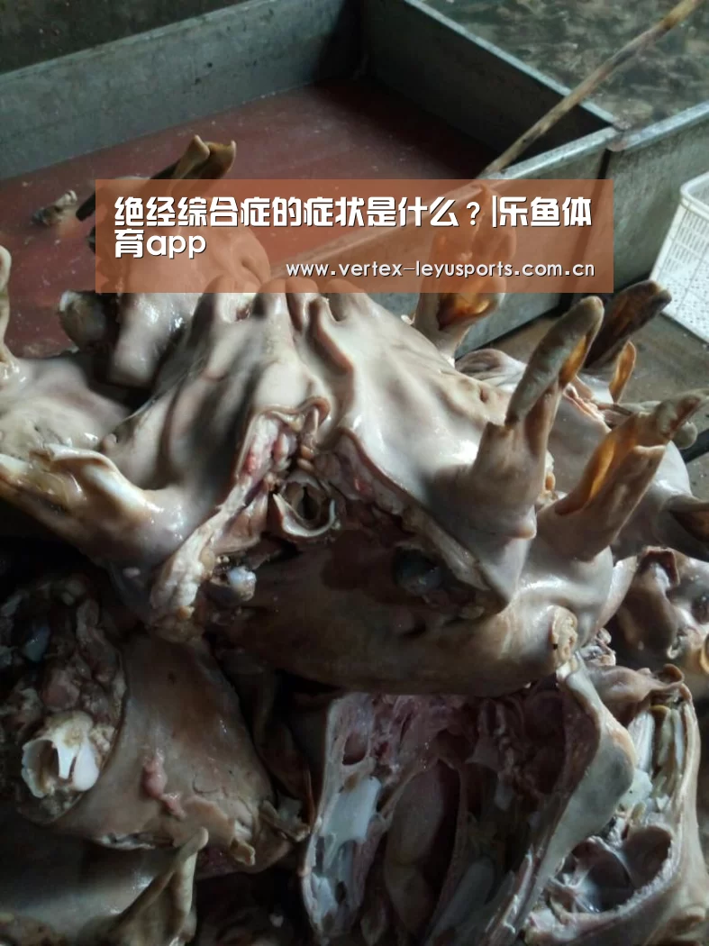 乐鱼app