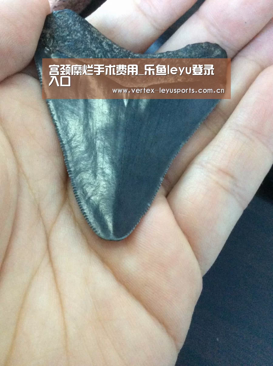乐鱼官网