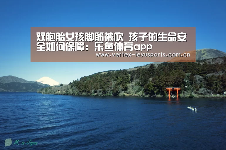 乐鱼体育app