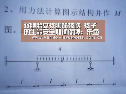 乐鱼官网
