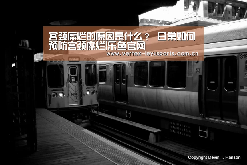 乐鱼官网
