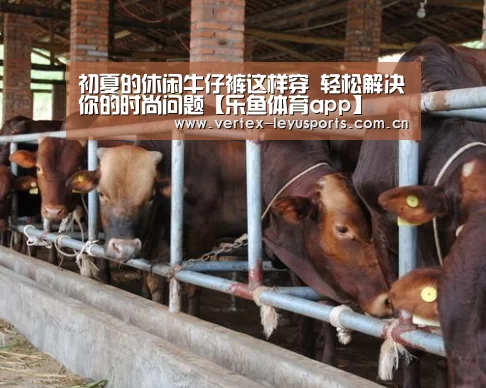 初夏的休闲牛仔裤这样穿 轻松解决你的时尚问题【乐鱼体育app】(图4) 乐鱼官网