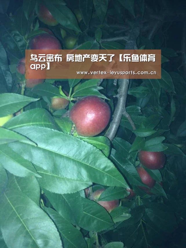 乐鱼体育app