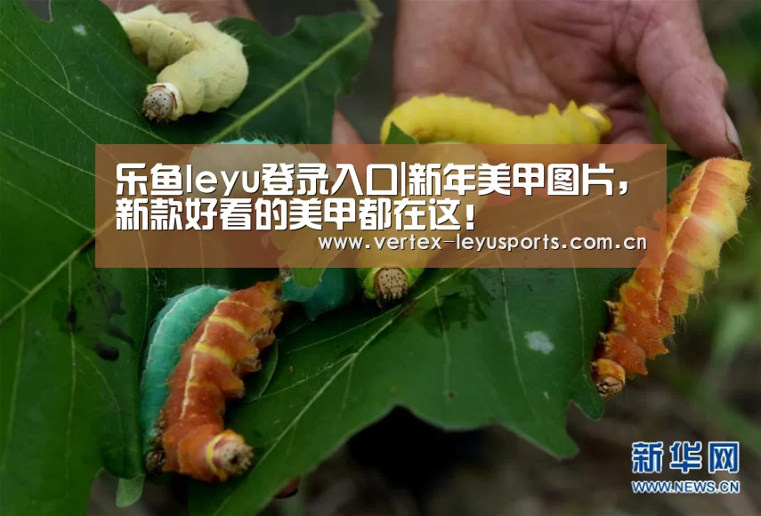 乐鱼leyu登录入口|新年美甲图片,新款好看的美甲都在这!(图3) 乐鱼app